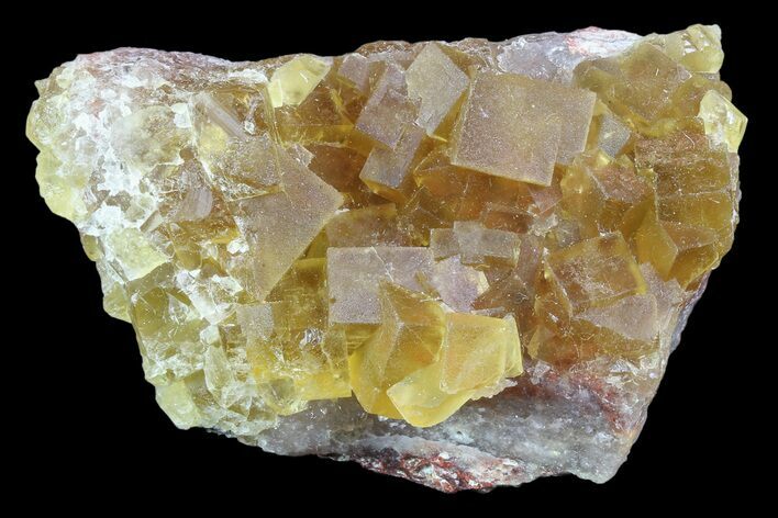 Lustrous Yellow Cubic Fluorite Crystal Cluster - Morocco #84307
